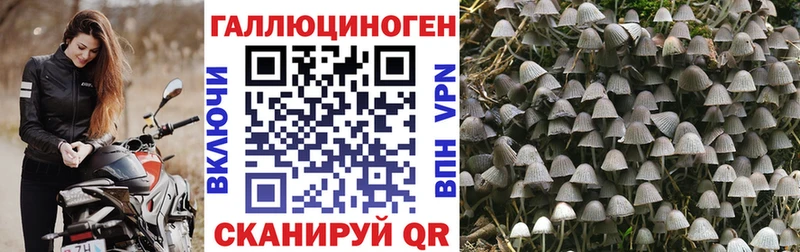 Псилоцибиновые грибы Magic Shrooms  Облучье 