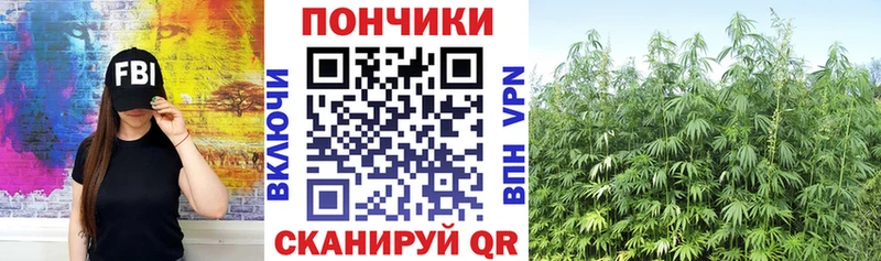 Бошки марихуана гибрид  Облучье 